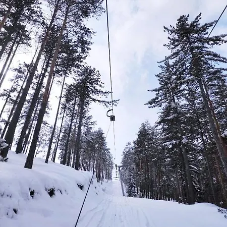 Zlatiborski Konaci, 19, 3 Apartment