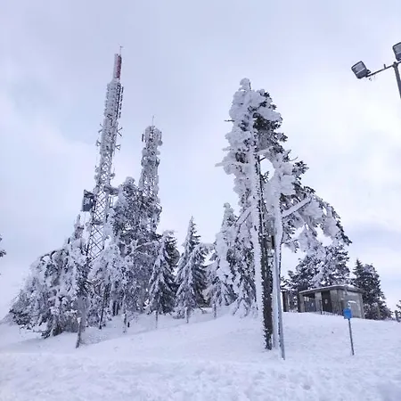 Apartment Zlatiborski Konaci, 19, 3 Zlatibor