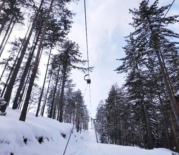 Zlatiborski Konaci, 19, 3 Apartament