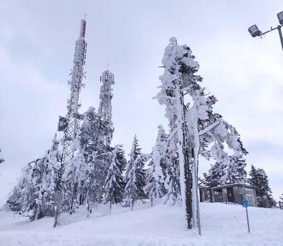 Apartament Zlatiborski Konaci, 19, 3 Zlatibor
